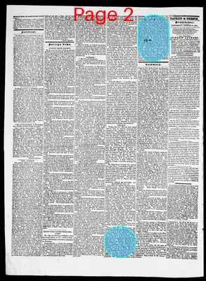 Page thumbnail for Providence Patriot, Columbian Phenix