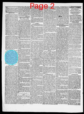 Page thumbnail for Providence Patriot, Columbian Phenix