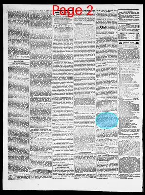 Page thumbnail for Providence Patriot, Columbian Phenix