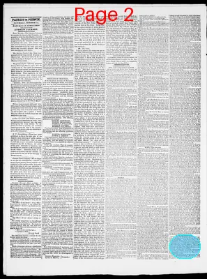 Page thumbnail for Providence Patriot, Columbian Phenix