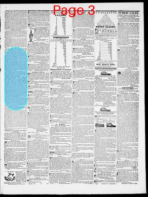Page thumbnail for Providence Patriot, Columbian Phenix
