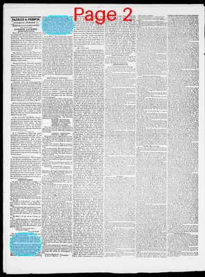 Page thumbnail for Providence Patriot, Columbian Phenix
