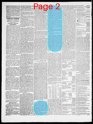 Page thumbnail for Providence Patriot, Columbian Phenix