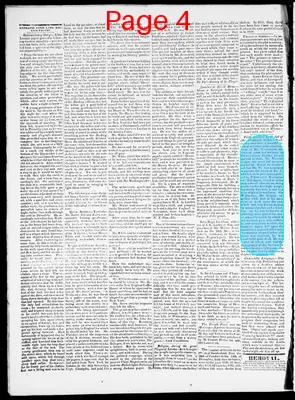 Page thumbnail for Providence Patriot, Columbian Phenix