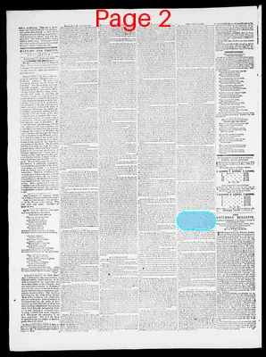 Page thumbnail for Providence Patriot, Columbian Phenix
