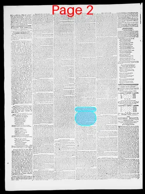 Page thumbnail for Providence Patriot, Columbian Phenix