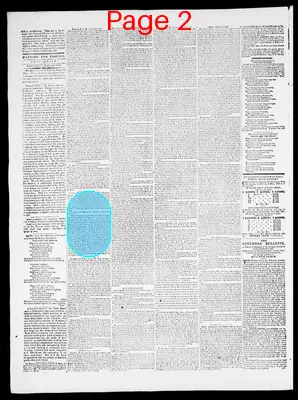 Page thumbnail for Providence Patriot, Columbian Phenix