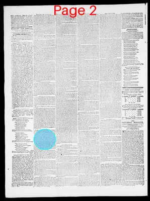 Page thumbnail for Providence Patriot, Columbian Phenix