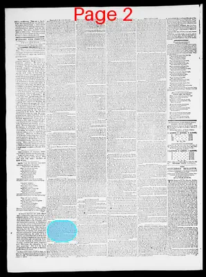 Page thumbnail for Providence Patriot, Columbian Phenix