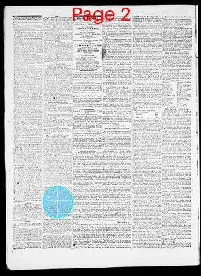 Page thumbnail for Providence Patriot, Columbian Phenix
