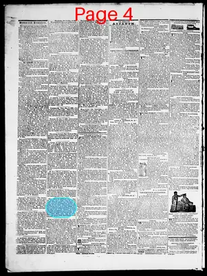 Page thumbnail for Providence Patriot, Columbian Phenix