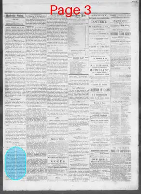 Page thumbnail for The Nashville Daily Union