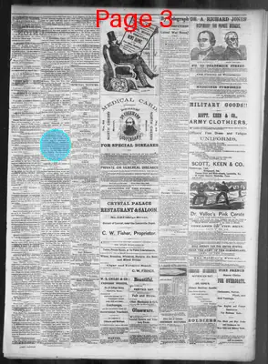 Page thumbnail for The Nashville Daily Union