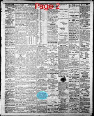 Page thumbnail for Daily Nashville Patriot
