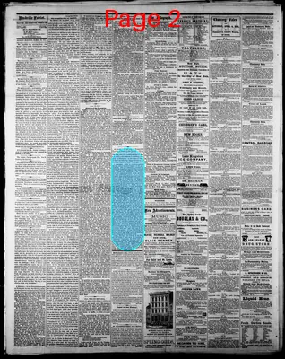 Page thumbnail for Daily Nashville Patriot