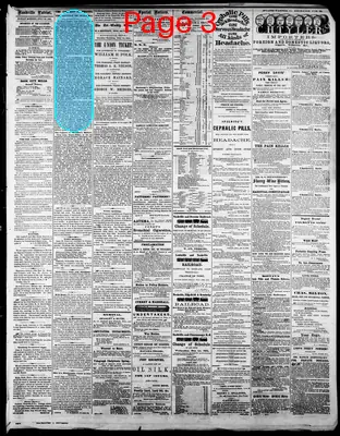 Page thumbnail for Daily Nashville Patriot