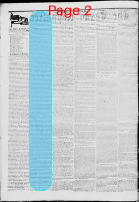 Page thumbnail for The Texas Republican