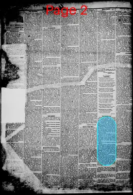 Page thumbnail for The Texas Republican