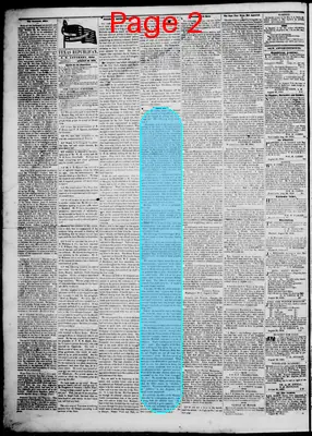 Page thumbnail for The Texas Republican