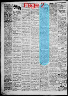 Page thumbnail for The Texas Republican