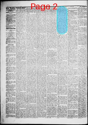 Page thumbnail for The Texas Republican