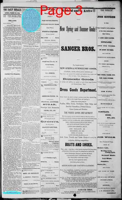 Page thumbnail for The Dallas Daily Herald