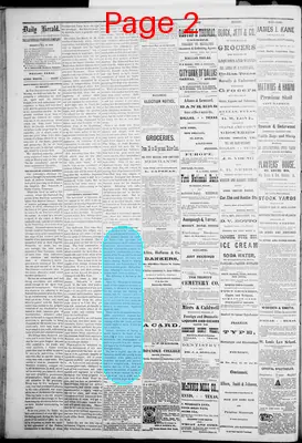 Page thumbnail for The Dallas Daily Herald