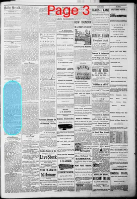Page thumbnail for The Dallas Daily Herald