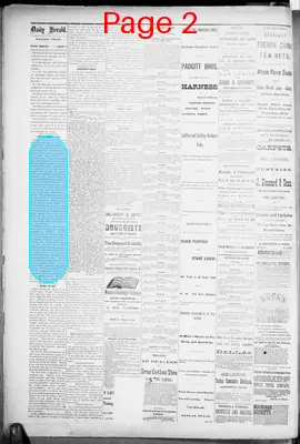 Page thumbnail for The Dallas Daily Herald