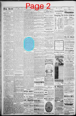 Page thumbnail for The Dallas Daily Herald