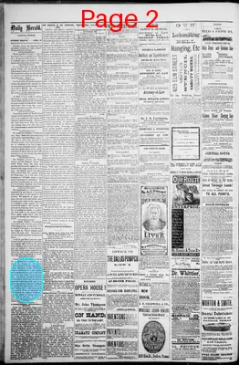 Page thumbnail for The Dallas Daily Herald