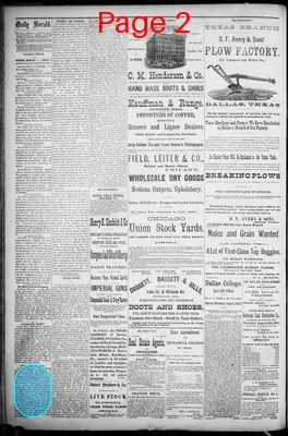 Page thumbnail for The Dallas Daily Herald