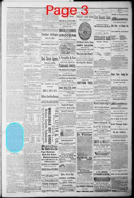 Page thumbnail for The Dallas Daily Herald