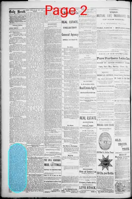 Page thumbnail for The Dallas Daily Herald