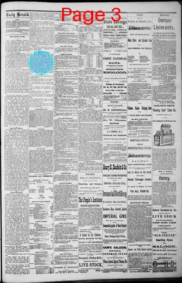 Page thumbnail for The Dallas Daily Herald