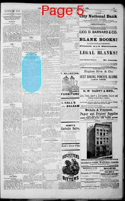 Page thumbnail for The Dallas Daily Herald