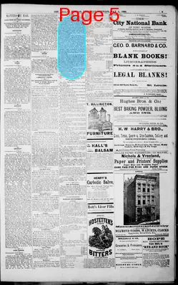 Page thumbnail for The Dallas Daily Herald