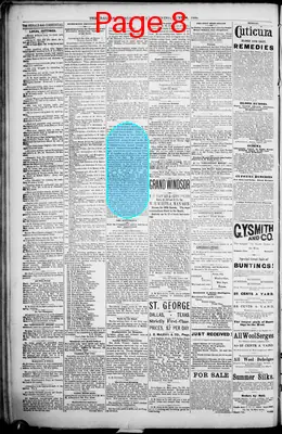 Page thumbnail for The Dallas Daily Herald