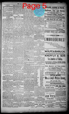 Page thumbnail for The Dallas Daily Herald