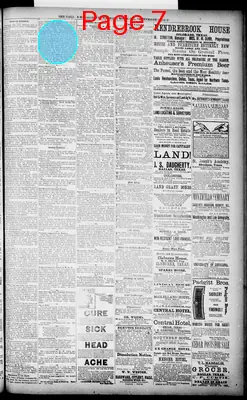 Page thumbnail for The Dallas Daily Herald