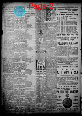 Page thumbnail for The Dallas Daily Herald
