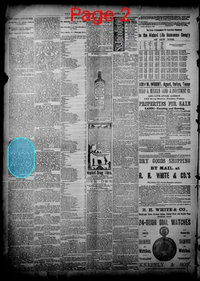 Page thumbnail for The Dallas Daily Herald