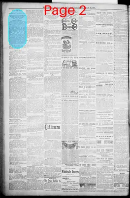 Page thumbnail for The Dallas Daily Herald