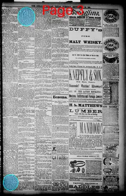 Page thumbnail for The Dallas Daily Herald