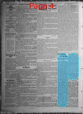 Page thumbnail for The Dallas Express