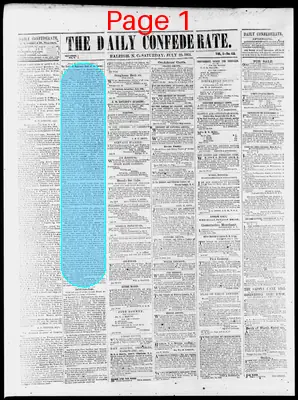 Page thumbnail for The Daily Confederate