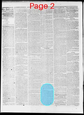 Page thumbnail for The Daily Confederate