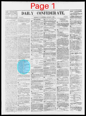Page thumbnail for The Daily Confederate