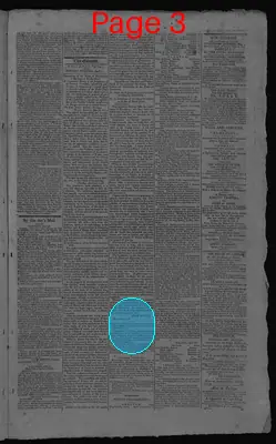 Page thumbnail for Gazette Of The United States, & Philadelphia Daily Advertiser