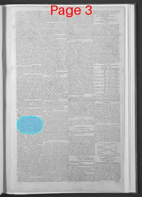 Page thumbnail for National Gazette
